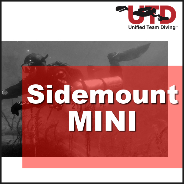 Side Mount MINI